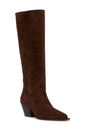 Paige Lillian Pointed Toe Knee High Boot in Chocolate at Nordstrom, Size 5.5
