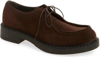 Prada Chocolate Derby in Moro at Nordstrom, Size 10.5Us