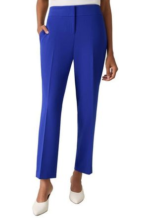 Kasper Ava Straight Leg Pants in Royal Signature at Nordstrom, Size 10P