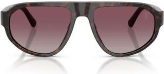Ferrari 57mm Polarized Irregular Sunglasses in Havana Shiny Burgundy at Nordstrom