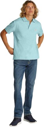 Calvin Klein Heren Regular Poloshirt met Korte Mouwen (Verse munt)