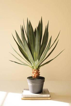 Kalalou Artificial Sisal Plant In Black Plastic Pot