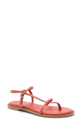 Free People Corsica Ankle Strap Sanal in Vermillion at Nordstrom, Size 9.5