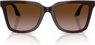 Emporio Armani 55mm Irregular Sunglasses in Shiny Transparent Brown/Teal at Nordstrom