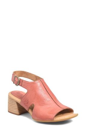 B&oslash;rn Swinton Sandal in Rust Leather at Nordstrom, Size 11