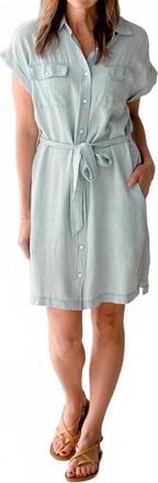 Thread & Supply Oaklee Mini Dress In Denim Blue Stripe