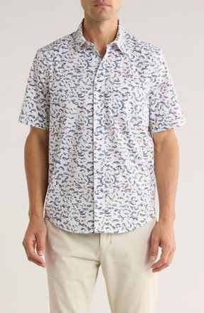 14th & Union Print Short Sleeve Stretch Poplin Button-Up Shirt in Ivory Whale Print at Nordstrom Rack, Size Xx-Large