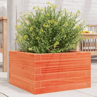 vidaXL Garden Planter Wax Brown 40x40x23 cm Solid Wood Pine Vidaxl