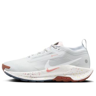 Nike (WMNS) Nike Pegasus Trail 5 Gore-Tex Pure Platinum Football Grey FQ0912-007