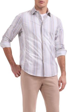 Bugatchi James OoohCotton Stripe Print Button-Up Shirt in Walnut at Nordstrom, Size Xxx-Large