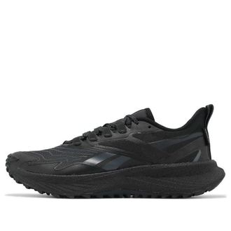 Reebok Floatride Energy 5 Adventure Black Grey 100074428