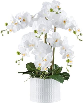 Gasper Kunstpflanzen Orchidee Phalaenopsis Weiss H: 60 cm