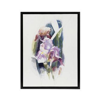 Artery8 Purple Iris Flower Watercolour Demuth Framed Canvas Wall Art Print in White | Size: W24 x H32