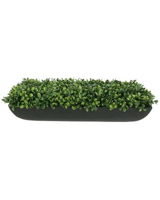 Creative Displays Inc. Boxwood Arrangement In Black Fiberstone Planter