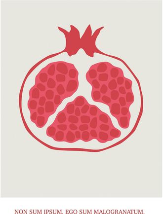 Komar Bild »Cultivated Pomegranate« Natur 1 Stk. tlg. Wandbild zur Dekoration - ohne Rahmen