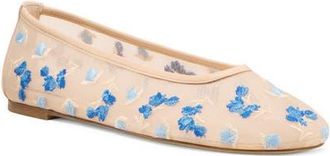 Stuart Weitzman Bareitall Flower Embroidered Ballet Flat in Cielo Multi/Barely B at Nordstrom, Size 6.5