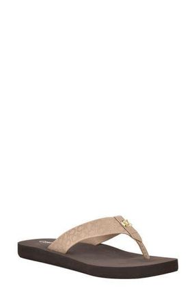 Calvin Klein Caluha Flip Flop Sandal in Taupe Logo at Nordstrom Rack, Size 10