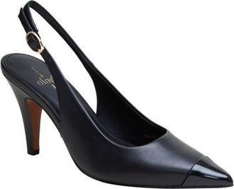 Linea Paolo Niyka Pointed Toe Slingback Pump in Black at Nordstrom, Size 6.5