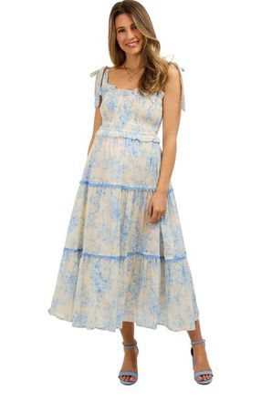 Pinkblush Floral Sleeveless Ruffle Tiered Midi Dress in Light Blue at Nordstrom, Size Medium