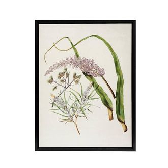 Artery8 Totorowhiti Turpentine Scrub Flowers Featon Framed Canvas Wall Art in Beige | Size: W24 x H32