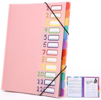 OEM Organizador De Carpetas Expandible Con Compartimentos, Carpeta Acorde&oacute;n, Organizador De Archivos, Tama&ntilde;o A4, Etiquetas Arco&iacute;ris, Rosa