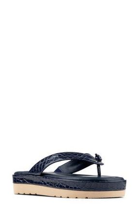 Donald J Pliner Thong Sandal in Navy at Nordstrom Rack, Size 8