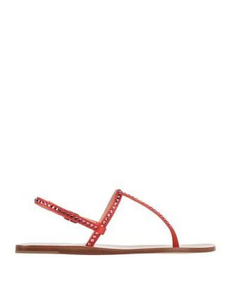 Eddy Daniele Thong sandals