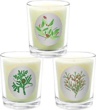 Qualitas 3Pc Candle Set - Cypress, Santalum, & Hinoki Tree