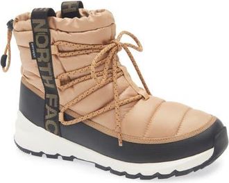 The North Face Thermoball Waterproof Utility Boot in Almond Butter/Tnf Black at Nordstrom, Size 10