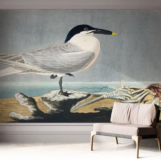 Tulup Fotomurale Adesivo - Parete Decorativa - Decorazione Casa - Stile Moderno Parete - Eleganza Ornitologica 312x219 Cm