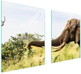 OEM Placa Protectora De Vidrio Para Estufa 85x52 Elefante