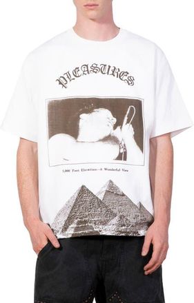 Pleasures Elevation Heavyweight Cotton Graphic T-Shirt in White at Nordstrom, Size Xx-Large