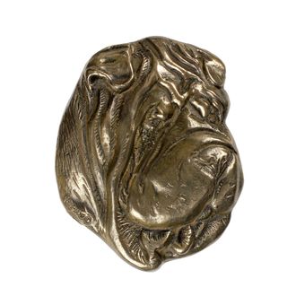 OEM Shar Pei - Placa Conmemorativa Con Perro, Agradecimiento Personalizado, Premio, Diploma Con Dedicatoria De La Marca Art-dog