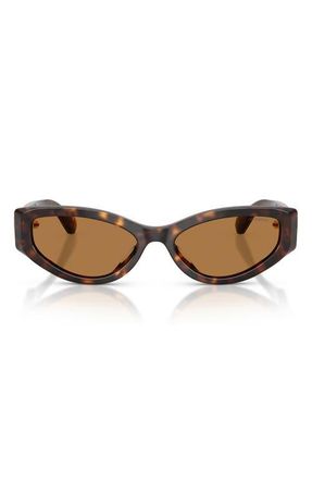 Swarovski 55mm Cat Eye Sunglasses in Havana /Bronze at Nordstrom