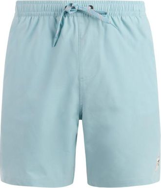 Protest PRTBaky Boardshorts f&uuml;r Herren | grau
