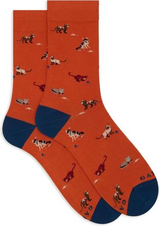 Gallo Gallo, Uomo, Mutande, Multicolore, M, new