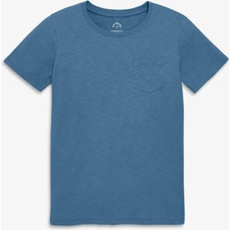 primary Adult Slub Pocket Tee in Moonlight at Nordstrom, Size Xx-Large