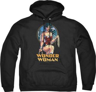 Gildan Justice League of America City Warrior Adult Pull Over Hoodie / Hooded Sweatshirt