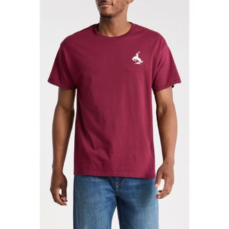 Riot Society Bucking Bronco Embroidered Tee in Burgundy at Nordstrom Rack, Size Xx-Large