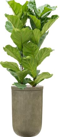 Baq Grosser In-/Outdoor Blumentopf Vertical Rib ø 37 / H 57 cm, Grün