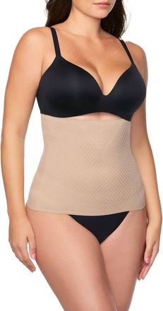 TC Fine Intimates Iconic Core Step-In Waist Cincher In Stucco