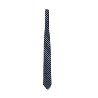 Ermenegildo Zegna Cravatta in Seta a Righe - - Accessories - unisex - Blu - ONE SIZE