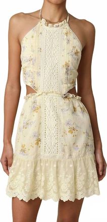 Olivaceous Evie Halter Mini Dress In Butter Floral
