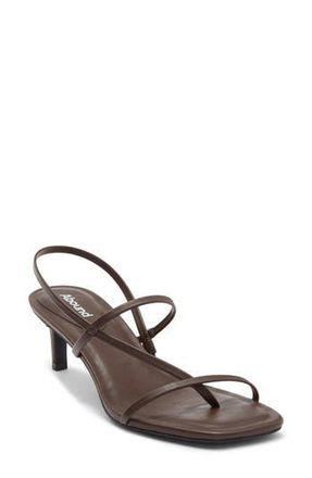 Abound Petra Kitten Heel Sandal in Brown Caffe at Nordstrom Rack, Size 6.5