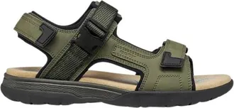 Geox Heren, Sport, Groen, Maat: 44 EU Leer
