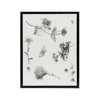 Artery8 Flowers Leaves Butterfly Drawing Framed Canvas Wall Art Print Hoytema in White | Size: W24 x H32