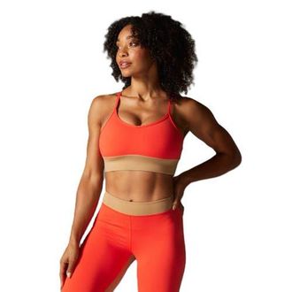Tavi Boost Bra in Magma/camel at Nordstrom, Size X-Large