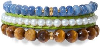 Chan Luu Trinity Tigers Eye Bracelet Set in Tigers Eye at Nordstrom