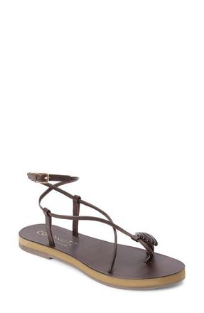 Matisse Footwear Cassian Ankle Strap Strap in Chocolate at Nordstrom, Size 10