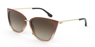 Colcci Aretha C0154F0834 Womens Sunglasses Brown Size 52